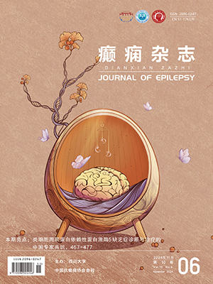 Journal of Epilepsy